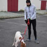 17 - Séance CANICROSS - 27.12.2018 17 - Séance CANICROSS - 27.12.2018