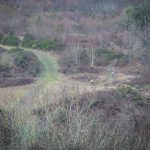 5028_20181209_122035_142703289_original