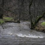 5028_20181209_125101_142702526_original