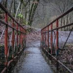 5028_20181209_125118_142700637_original