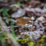 5028_20181209_144736_142692098_original